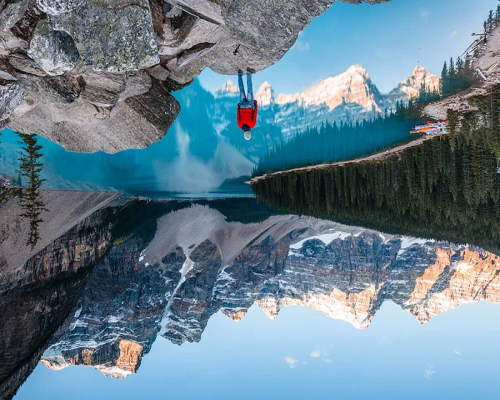 বিদ্যালয়ের